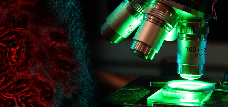 生命科學(xué) 生命科學(xué)