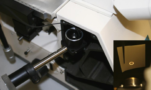 用于寬視場、共焦、雙光子和檢測顯微鏡的可調焦距鏡頭